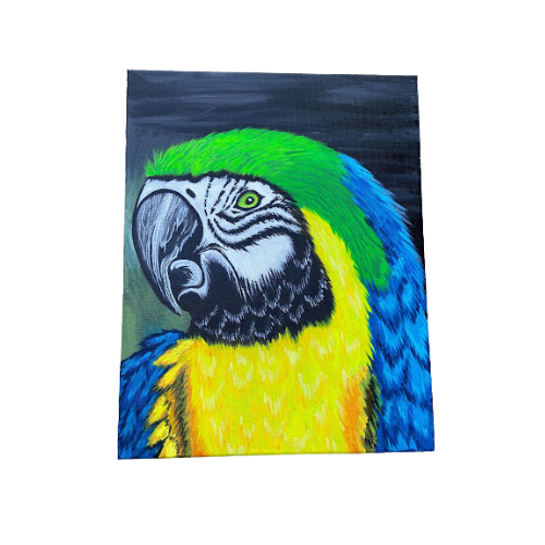 Parrot Canvas Painting