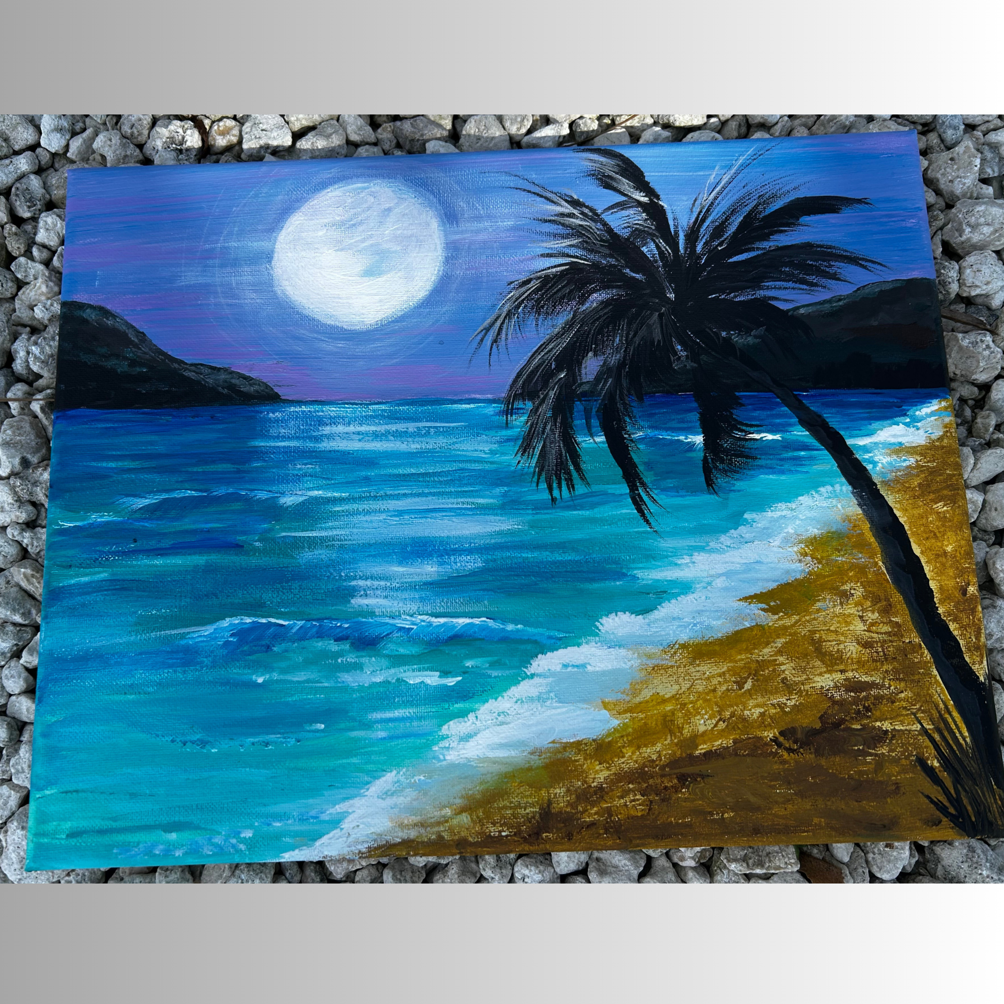Moonlit Beach Escape